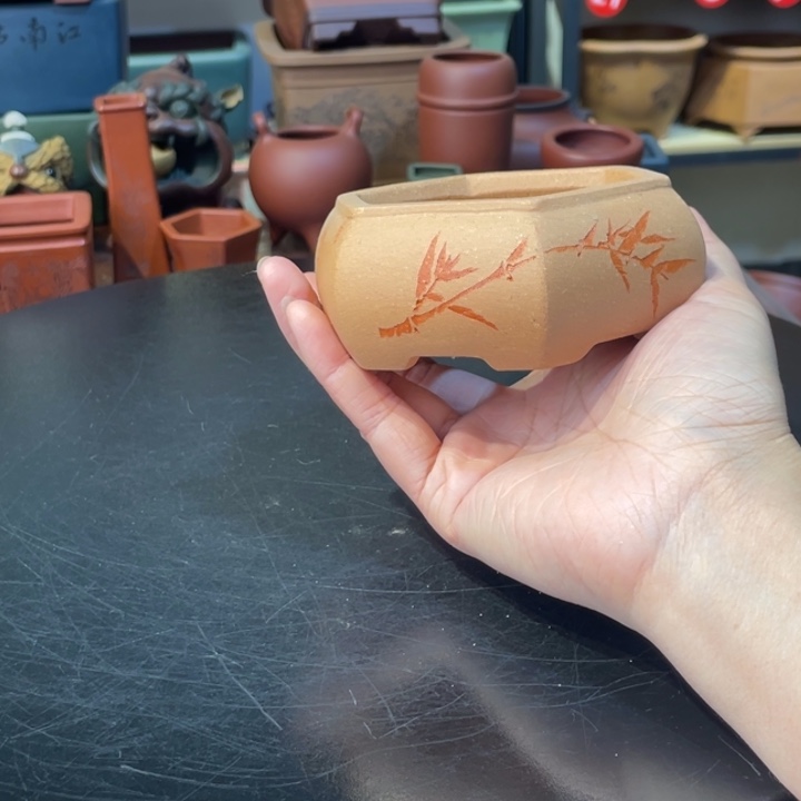 花盆紫砂我也是刚