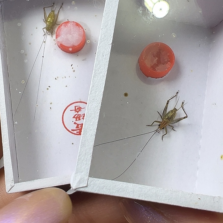 拉***凰哈哈哈哈哈哈哈哈哈哈