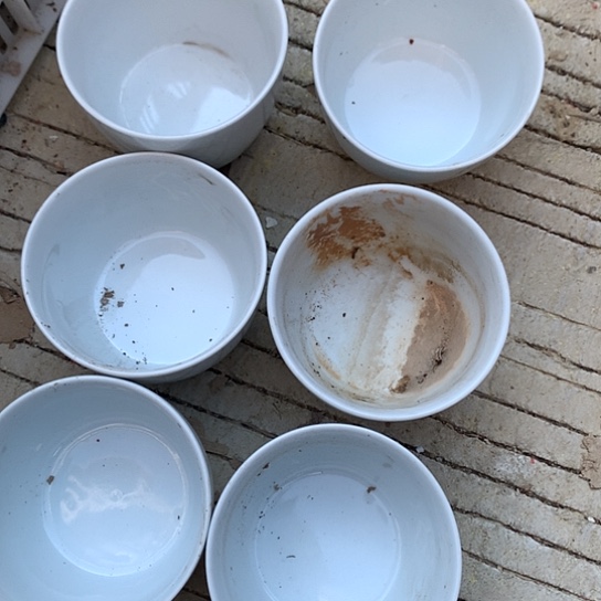 紫砂陶瓷工艺美术精品博览