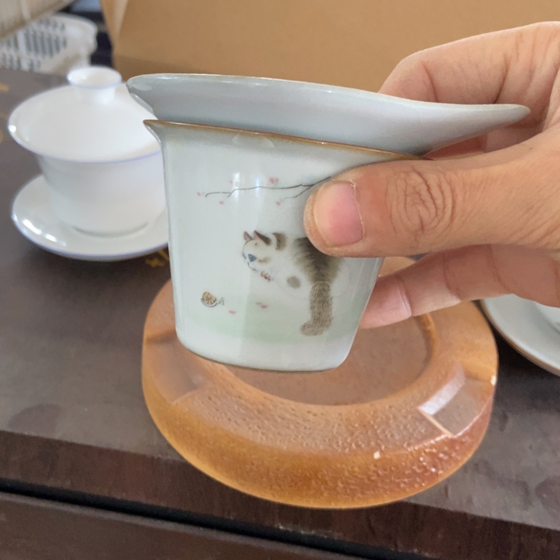 杯直播链接直播链接