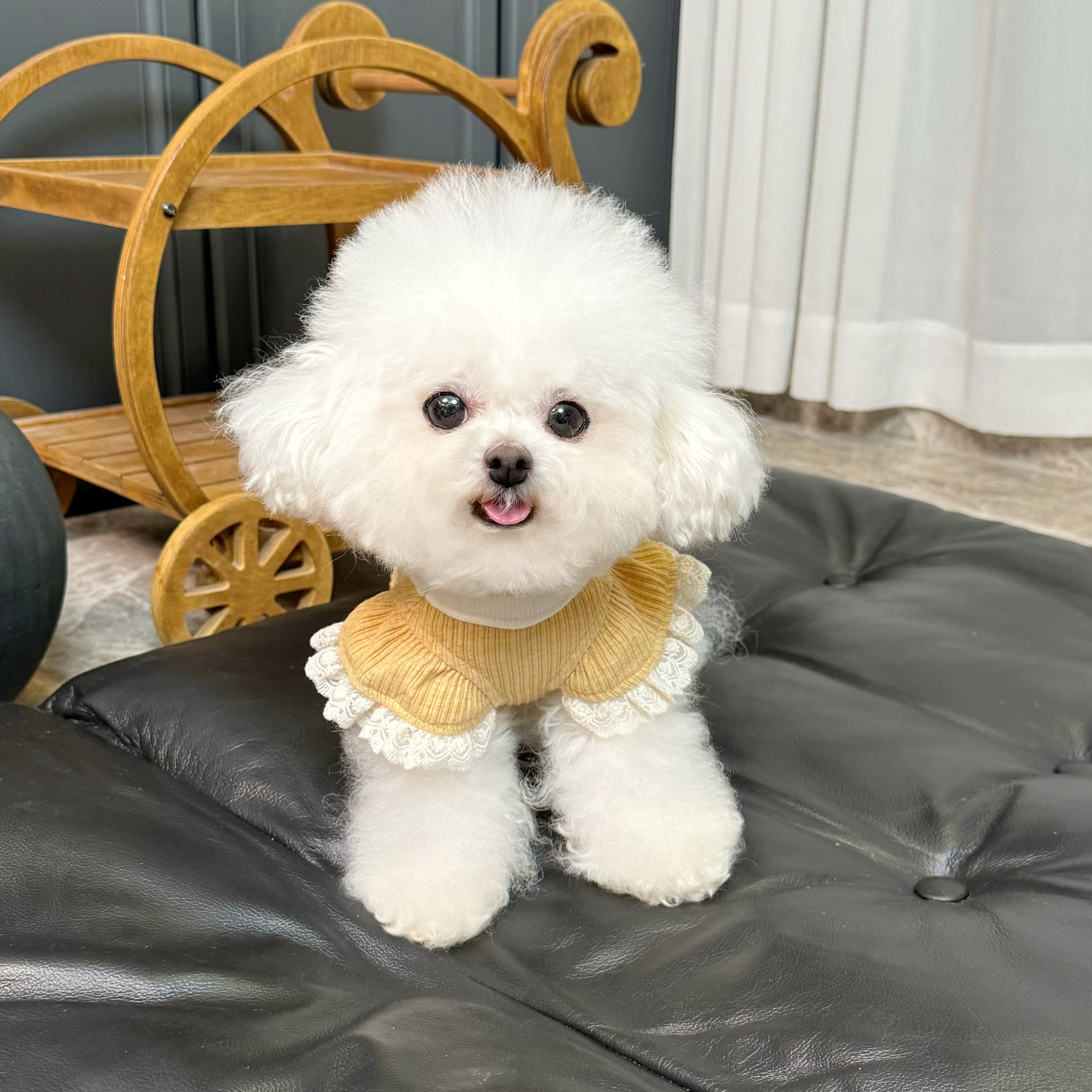 五只小白熊 宠物衣服秋冬新款弹力全包护肚衣狗狗猫咪保暖四脚裤