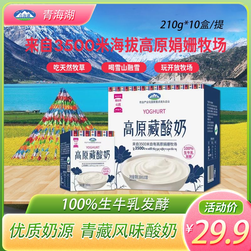 青海湖高原藏娟姗自有牧场100%生牛乳营养青海湖藏酸奶