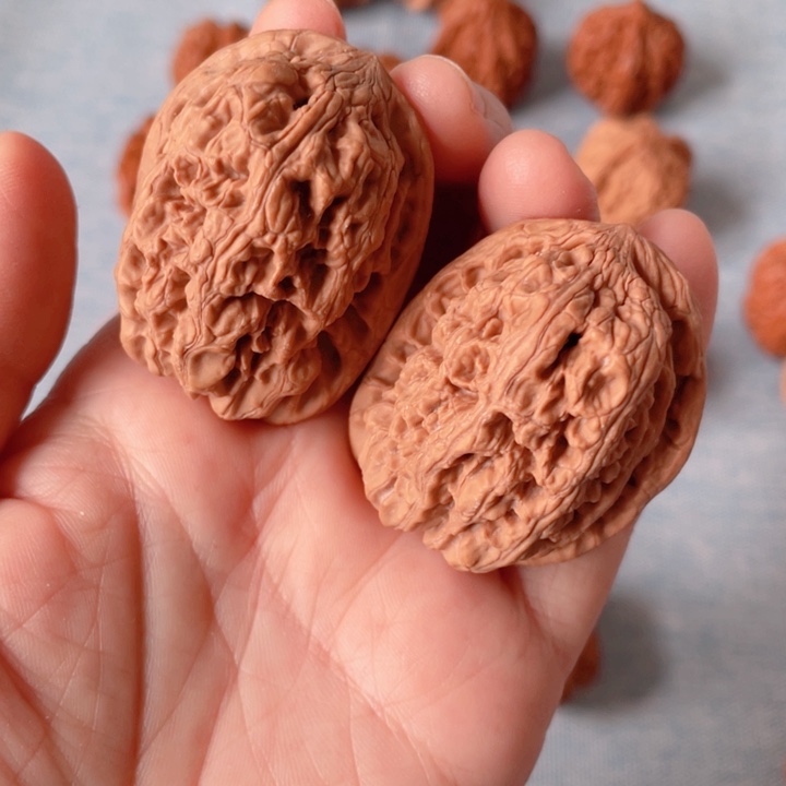 只*36尺寸全品华北将军膀