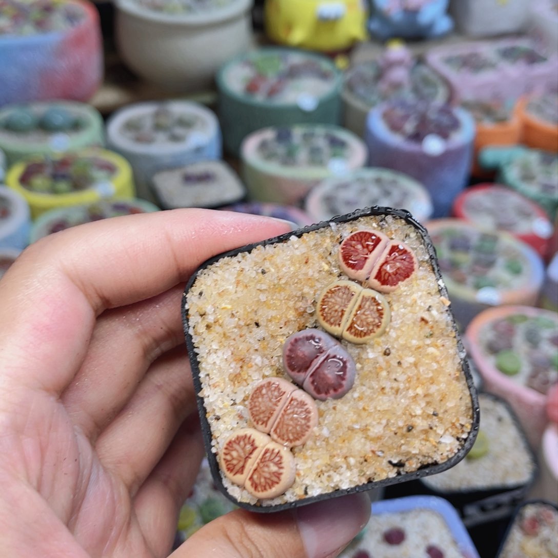 381。8888888888888888