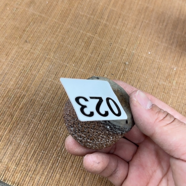 粗砂茶壶柴烧福利新品多多