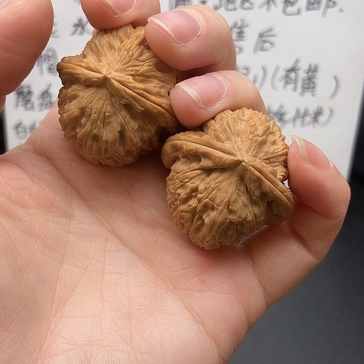 n****大大大大大大大角白