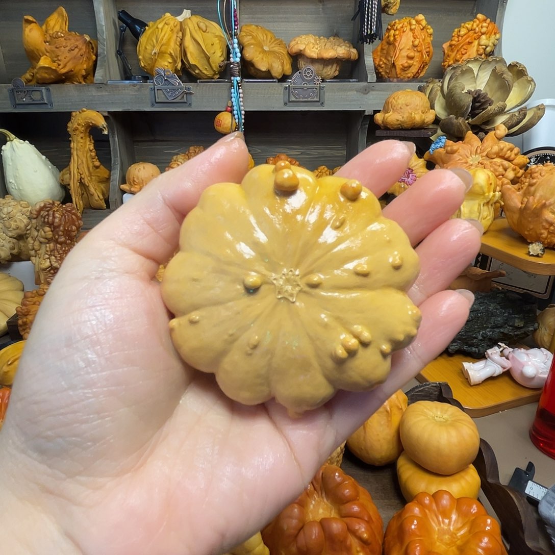 葫芦花饼疙瘩 开播福利