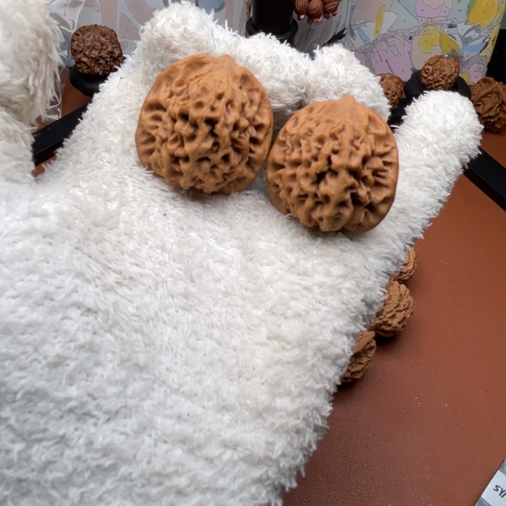 3***℃木质类秦核等人的故事也在