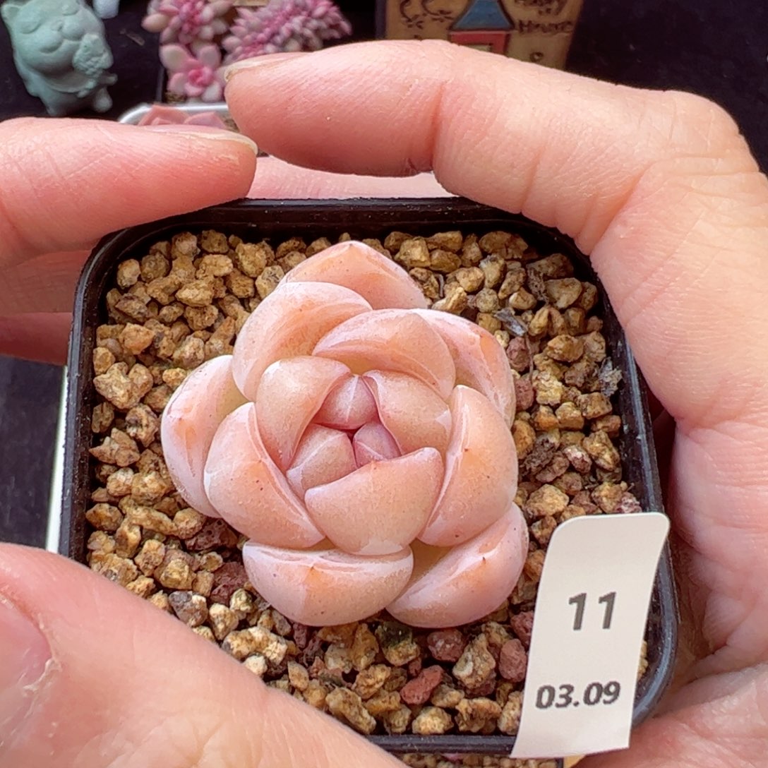 好好看11、哈哈哈哈