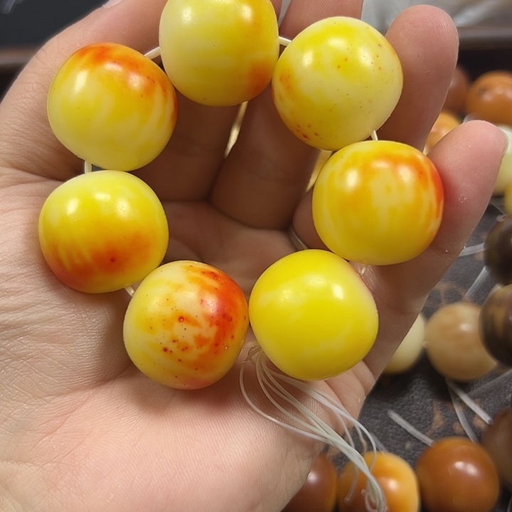 吊坠菩提根/象牙果