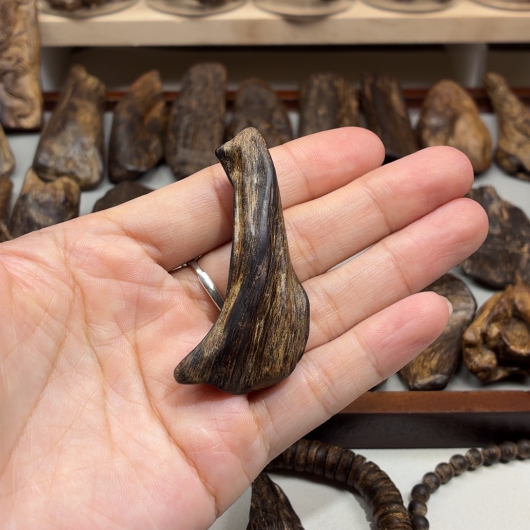 沉香沉香碎屑文莱