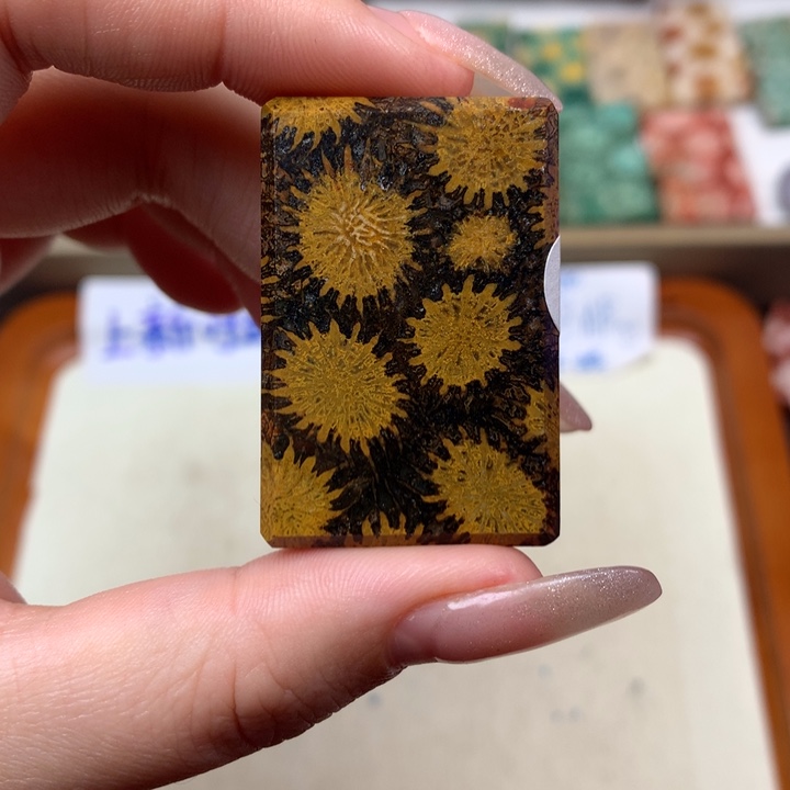 基***机硅化玉合金颈饰珊瑚玉无事牌吊坠：180