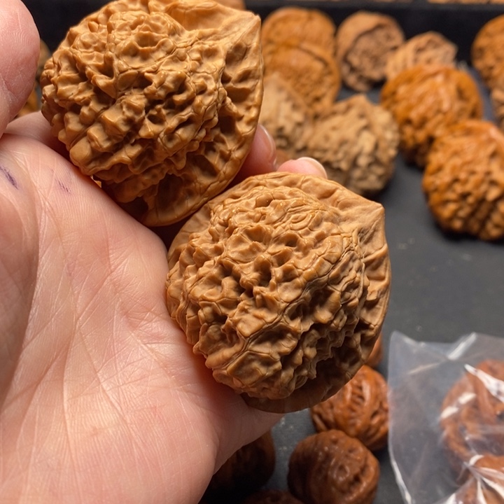 秦岭野生1111111111