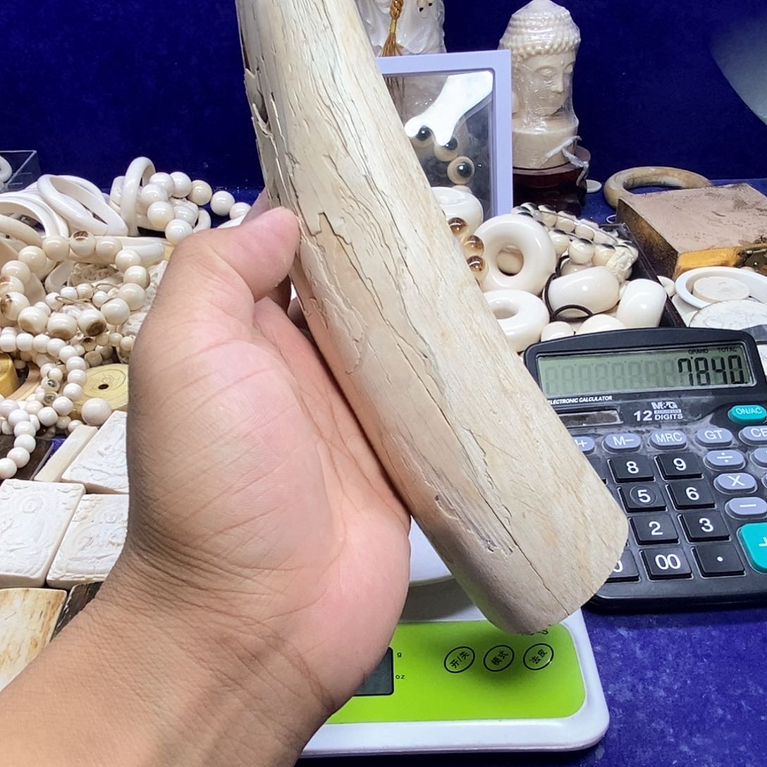 贝壳手串/手链屮猛犸牙