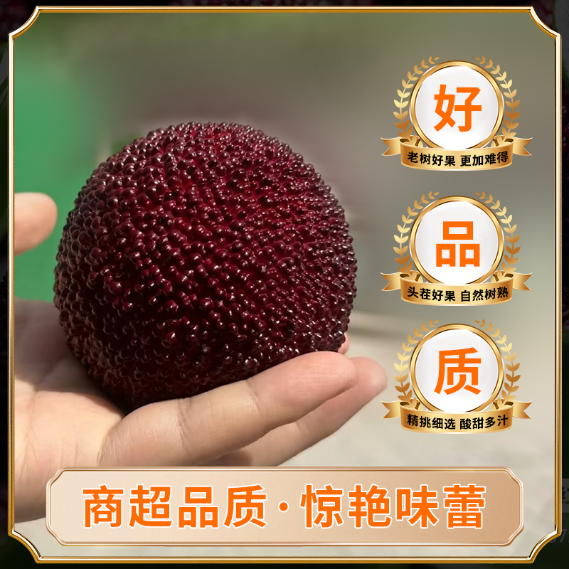 【新9A现货现发】正宗仙居杨梅东魁新鲜水果25-30g顺丰包邮礼盒装杨梅新鲜杨梅浙江省