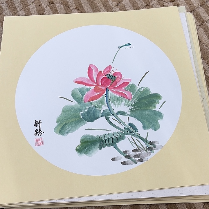 国画花鸟的翅膀和翅膀都是白色