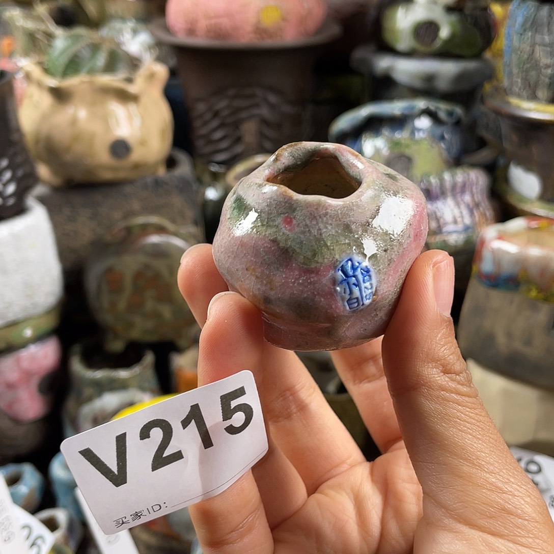 默认微次  限时福利 坛子姐花盆