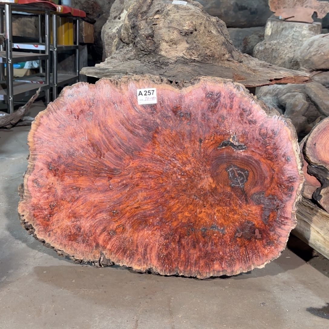 壶***痴花梨木类花梨木257