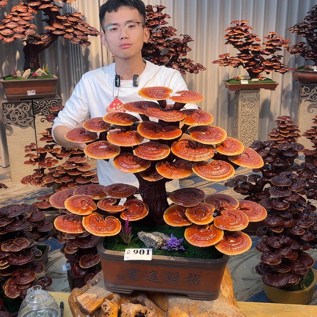 无花朵88888888888