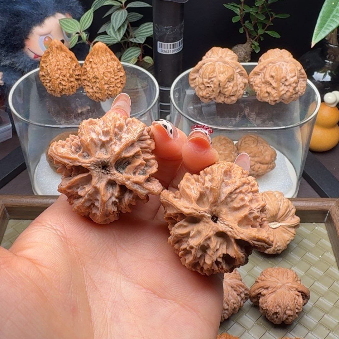 龙脊菩提把件全品三角苹果园43