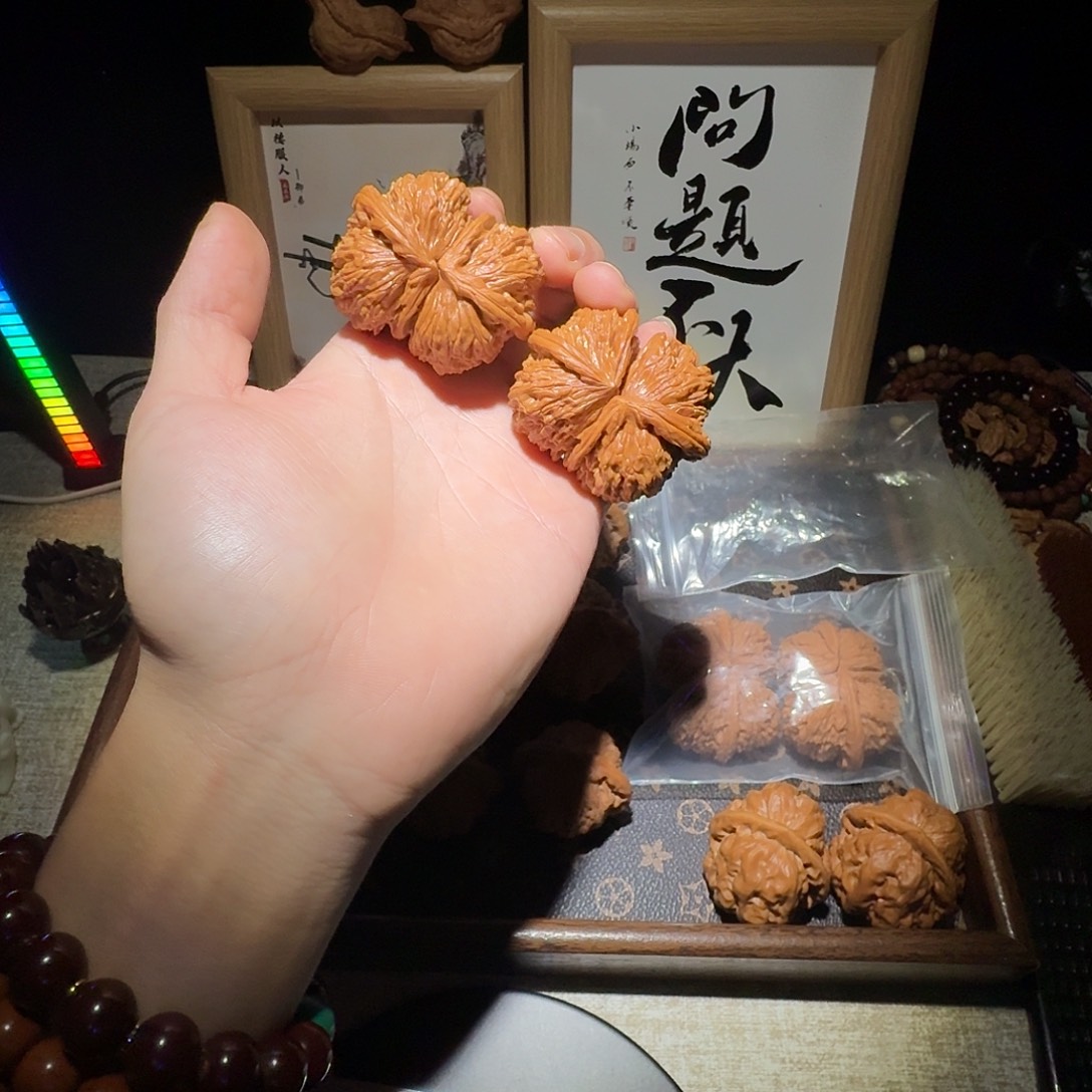 核桃白狮子球连49尺
