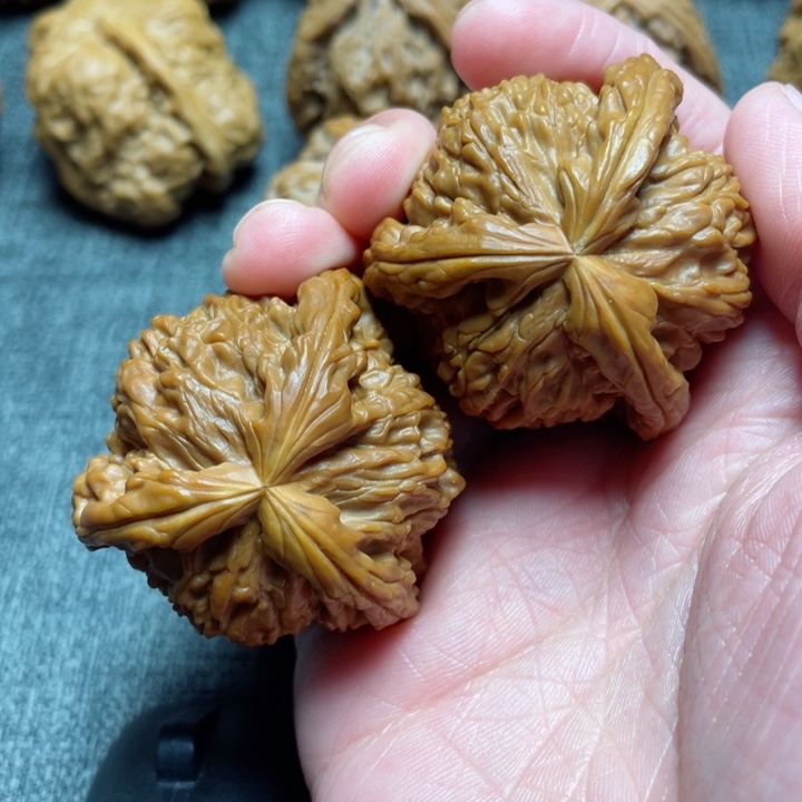 工艺三棱白狮子三棱