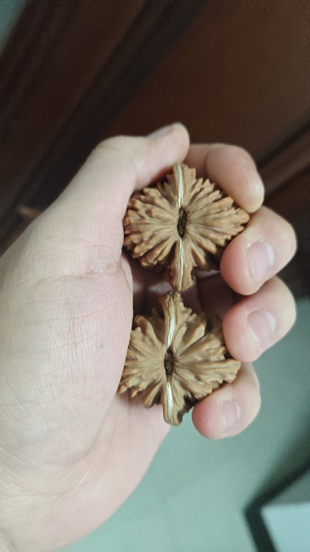 新粉福利对，文玩核桃