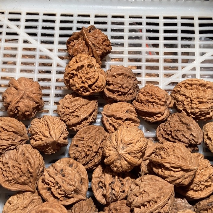 特***工核桃三棱单只40个打包