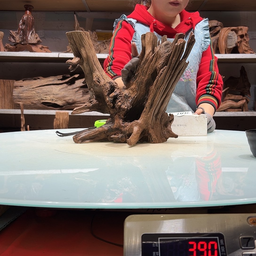 紫砂紫柚沉木?****?紫柚沉木2601