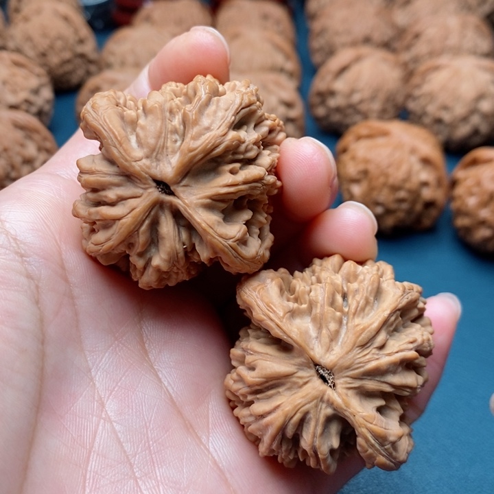 文玩核桃把件东****播42麦虎