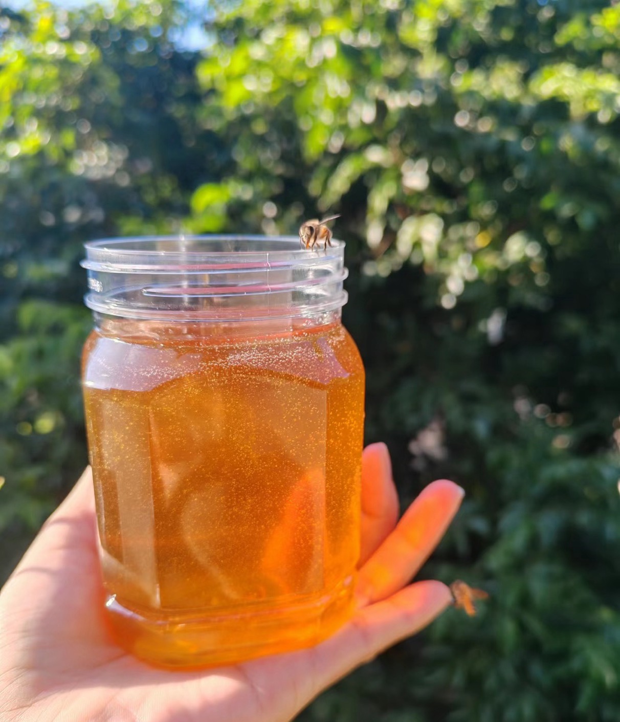 农家野花蜂蜜 蜂场直发 纯正天然