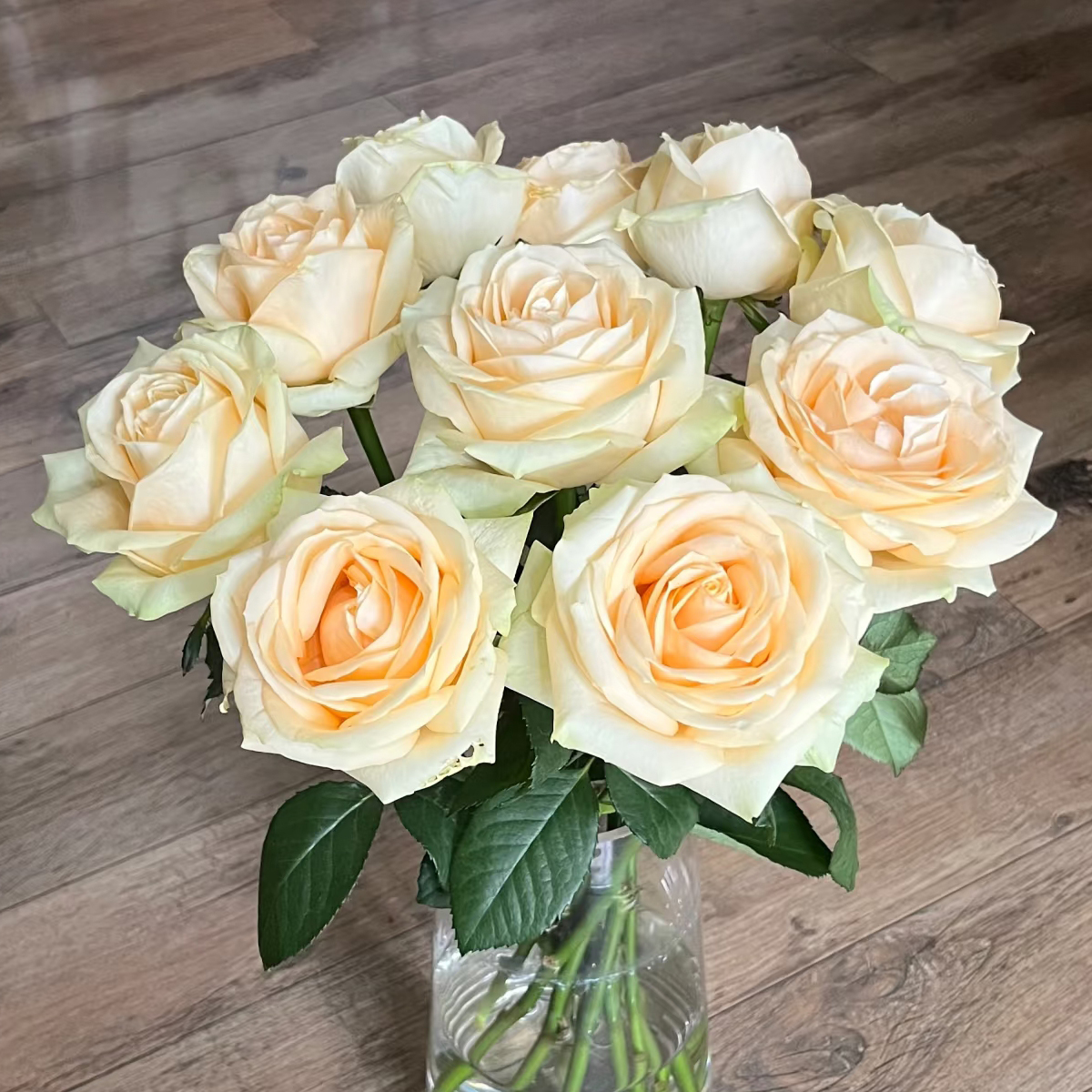 【蜜桃雪山】单头玫瑰新鲜鲜花花束云南昆明基地直发速递同城水养花