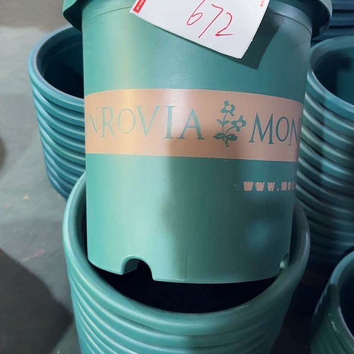 编号672-3个口径39印花微瑕