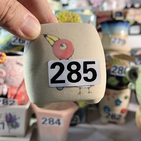 红陶多肉植物花盆