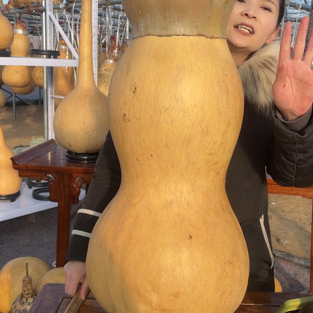 高***克木大葫芦不包邮大葫芦