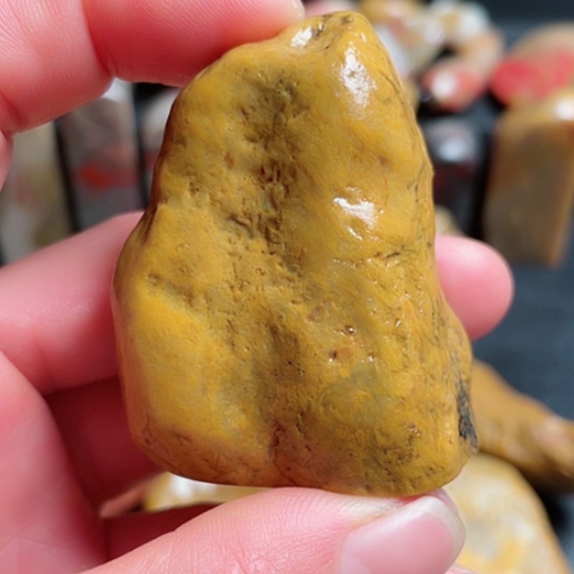 【闪购商品】昌化石与**手昌化田黄随型