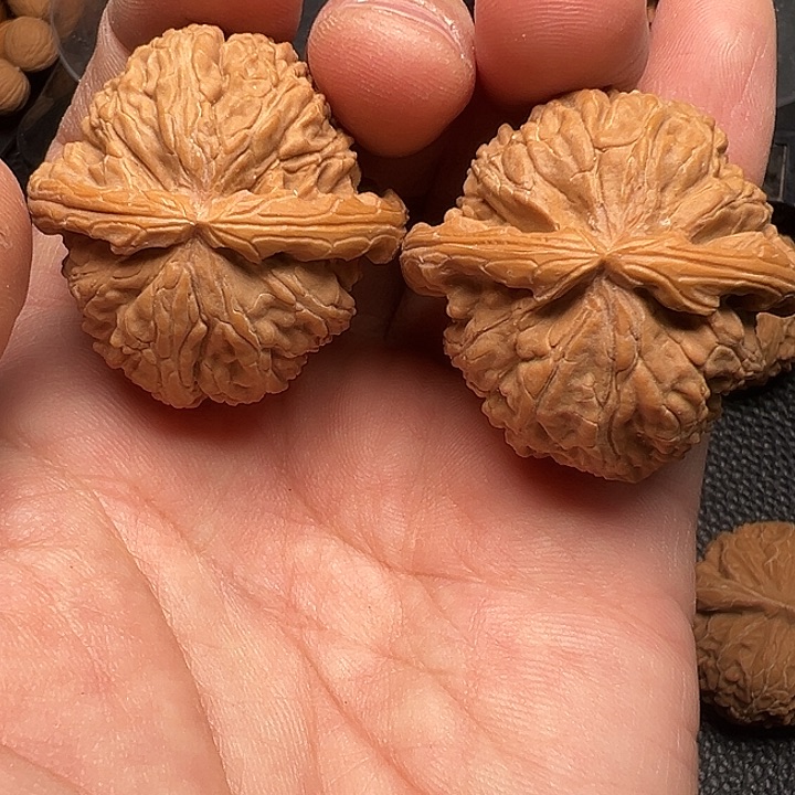 上***务白狮子四零尺发给上海