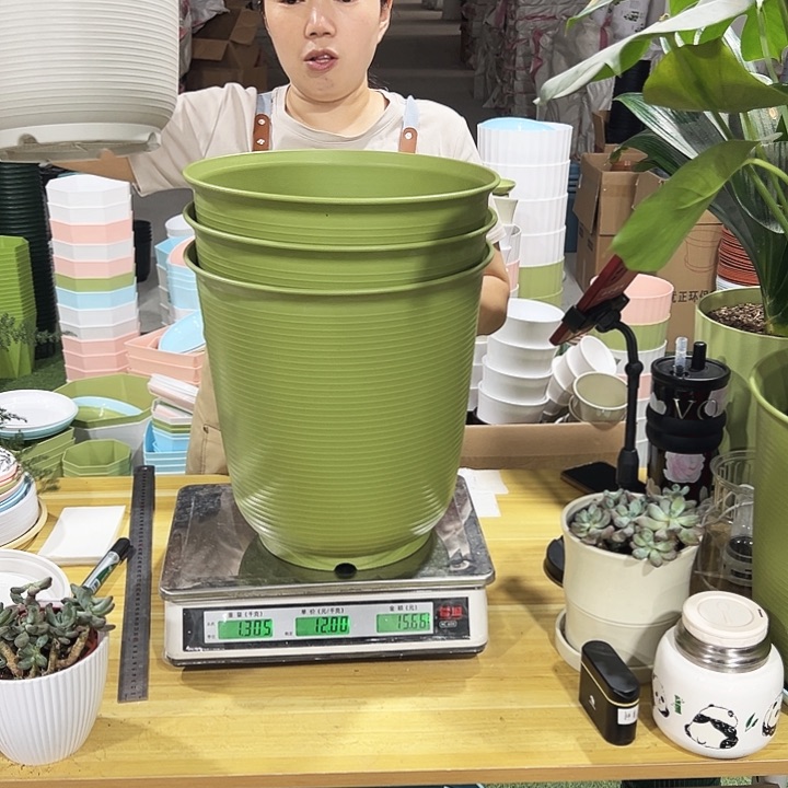 高陶口30高30果绿色无托3只