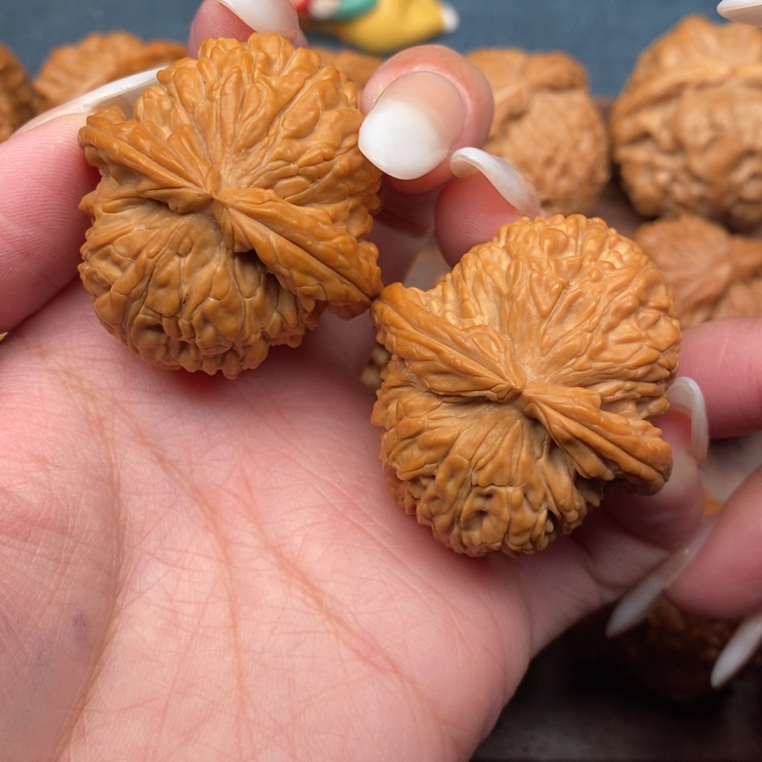 文玩核桃把件全品，红皮大肚球白39肚子41