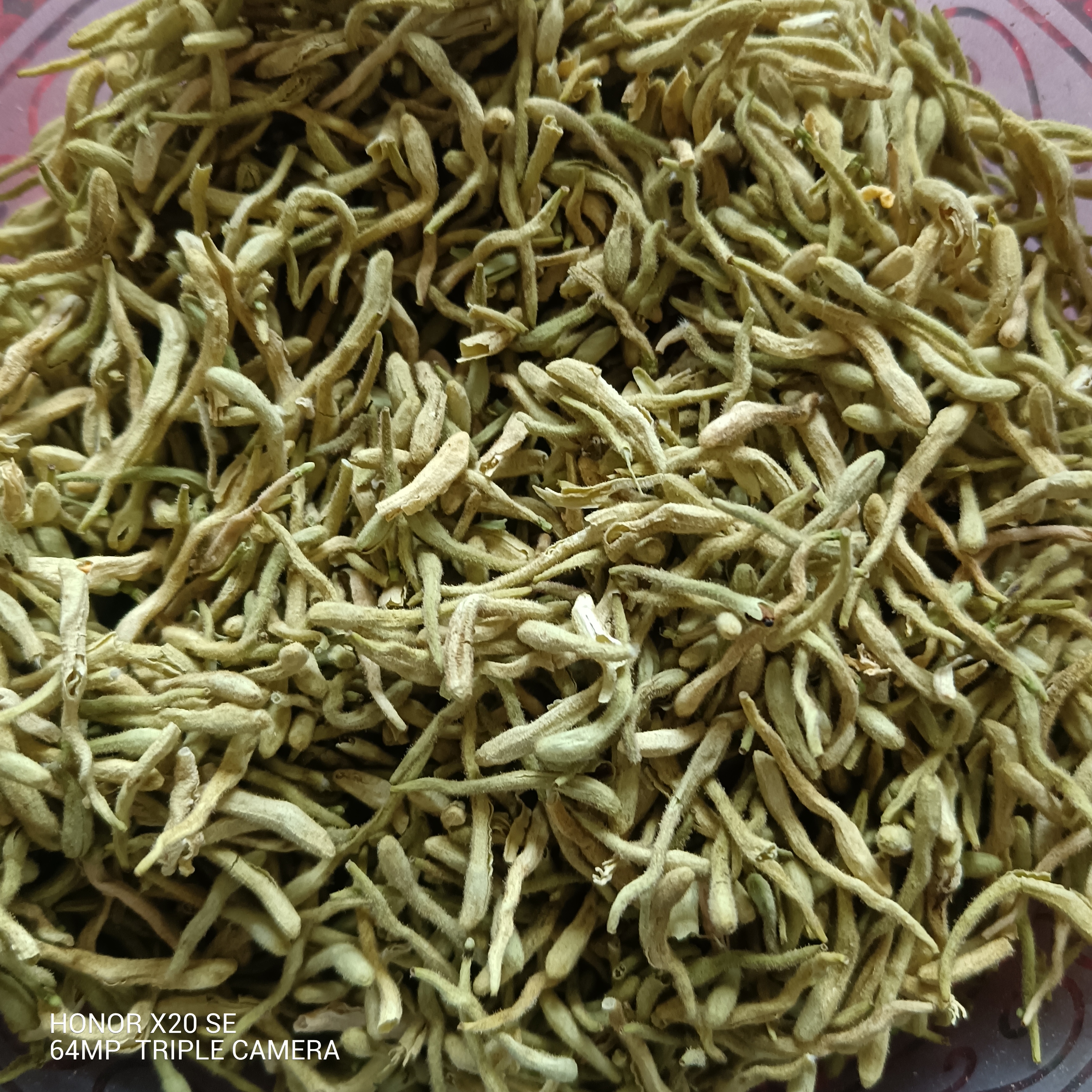 甘肃非种植金银花250g～500g包邮