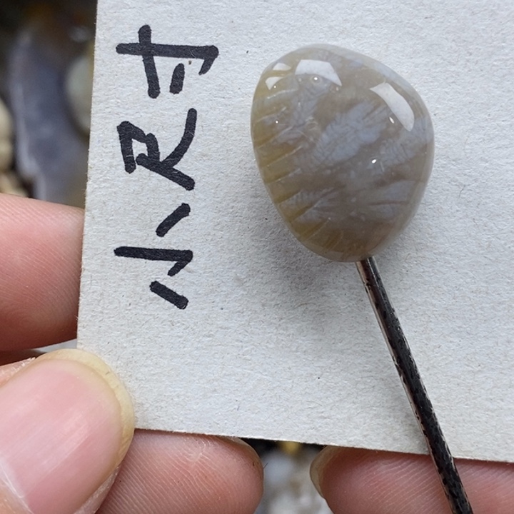 硅化珊瑚（珊瑚玉）未镶嵌颈饰