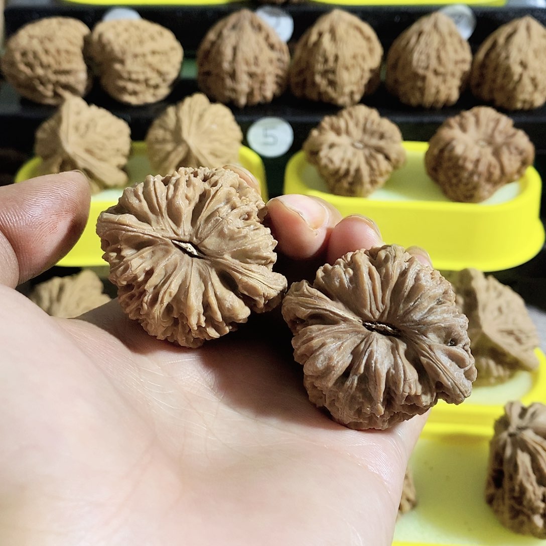 银S925今天是不是又