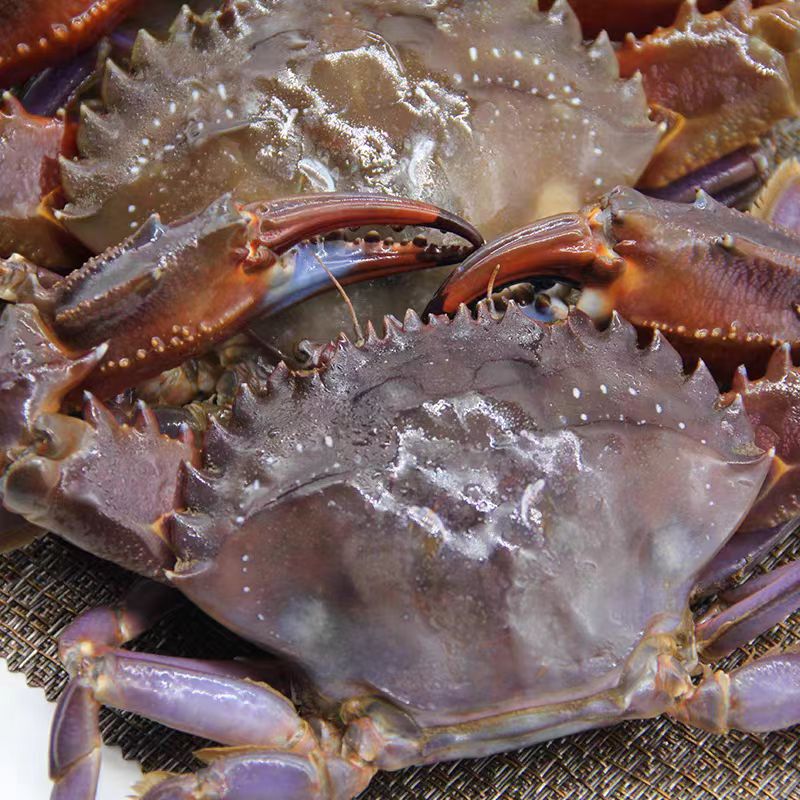 【当日达】赤甲红三斤装