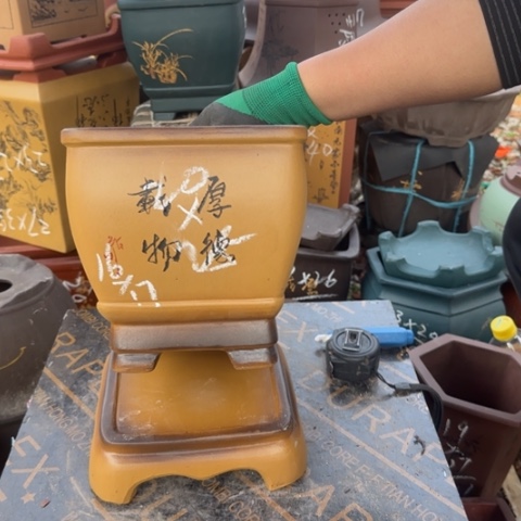 紫砂花盆紫砂花盆盆景栽