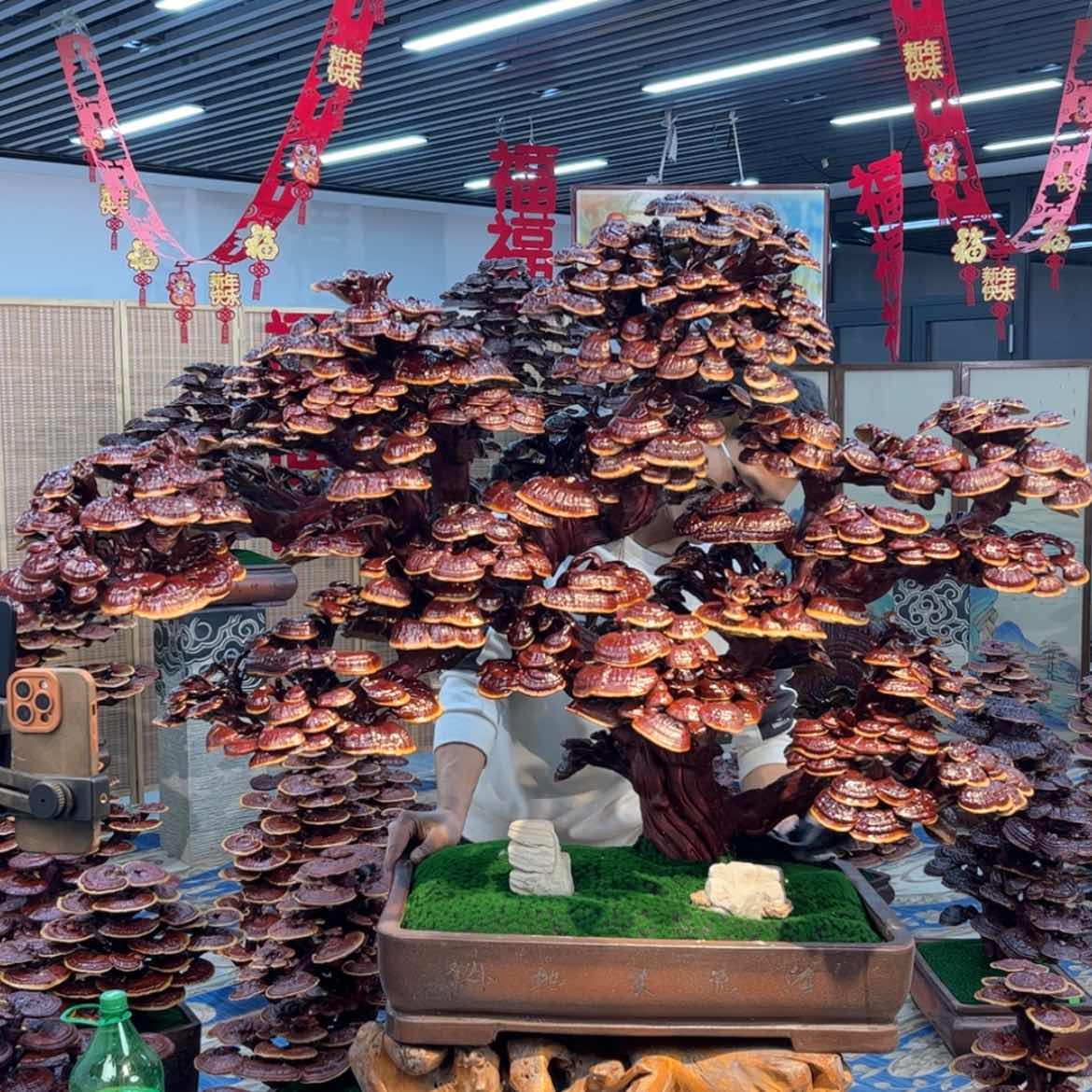 【闪购商品】88888