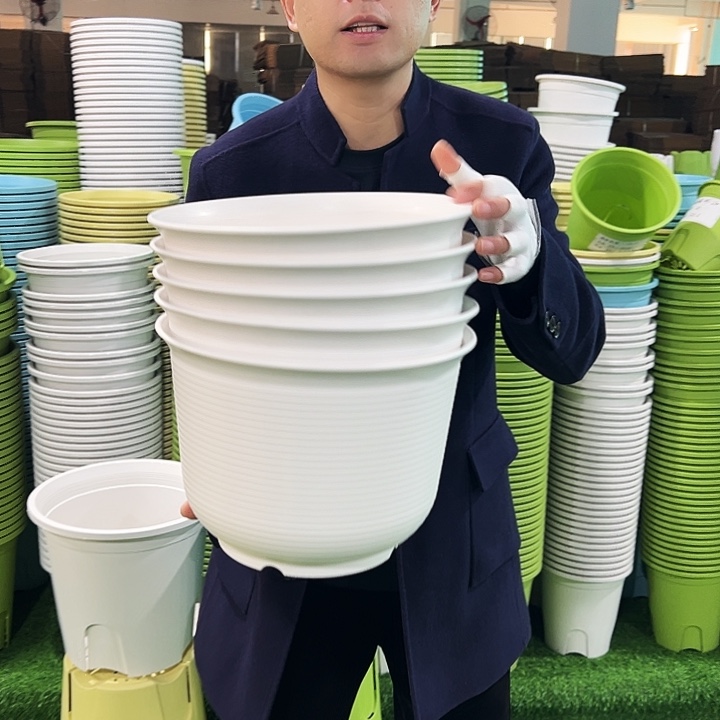 正品矮陶口30高21白色5只无托