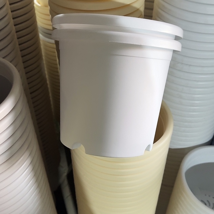 四季4#口径25白色10个无托