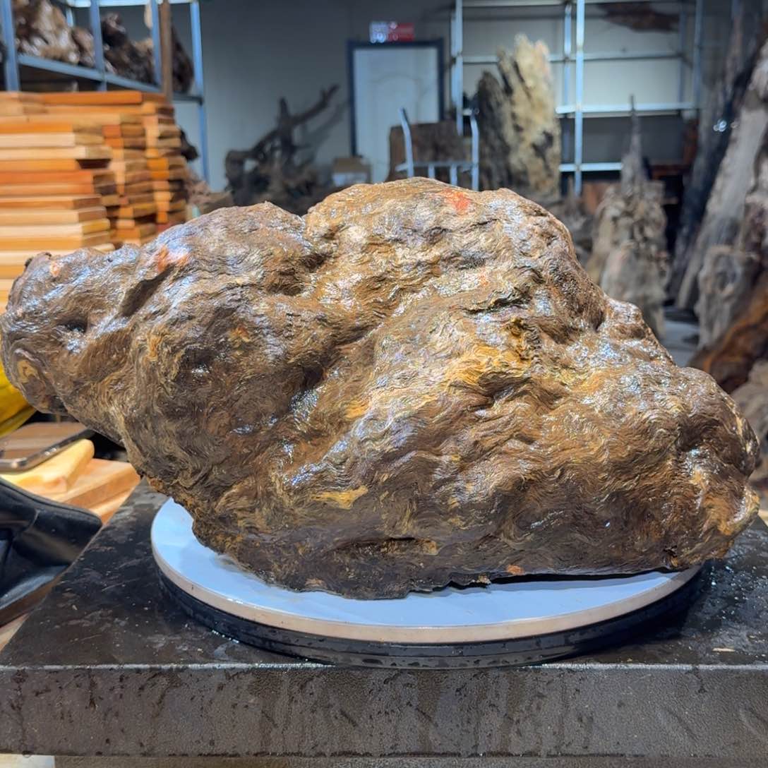 木洲**运王一刀琥珀木70