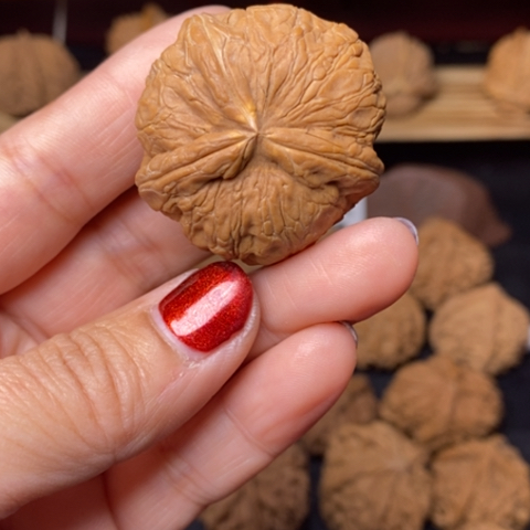 吉***乐文玩核桃把件核桃