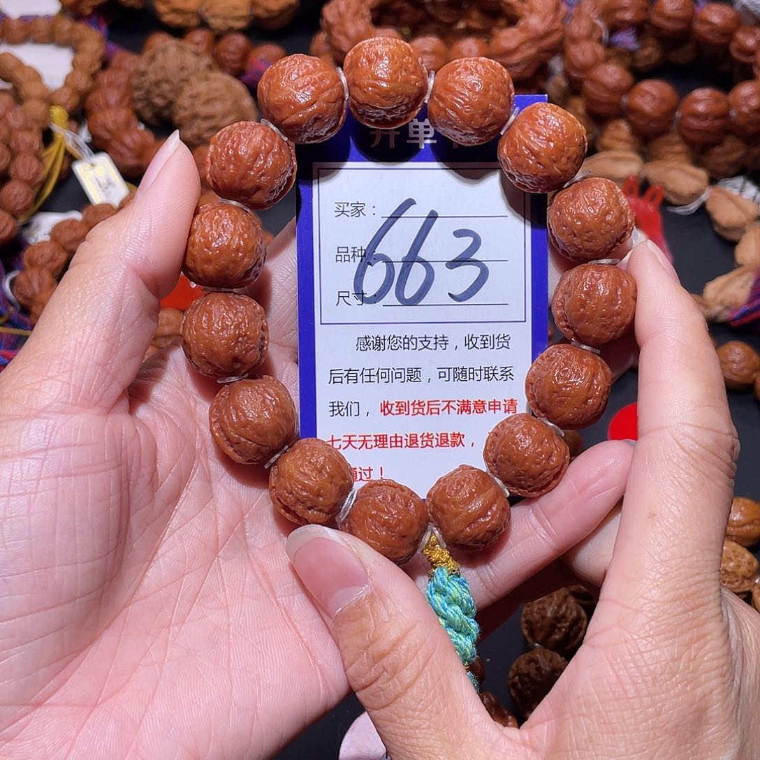 追***风663秋子矮桩橘红皮元宝一道筋18